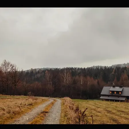 Pod Strzegomina Szerzyny