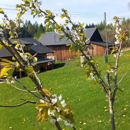 Appartement Pod Strzegomina Szerzyny